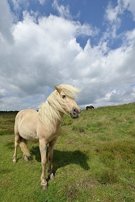 BUITEN BEELD Foto: 172899