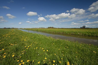 BUITEN BEELD Foto: 172926