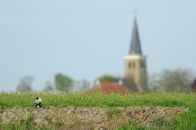 BUITEN BEELD Foto: 172934