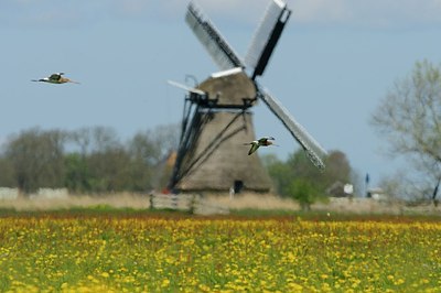BUITEN BEELD Foto: 172943