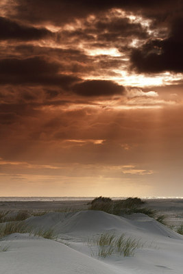 BUITEN BEELD Foto: 172969