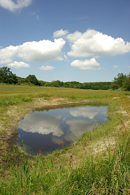 BUITEN BEELD Foto: 173010
