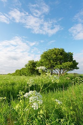 BUITEN BEELD Foto: 173013
