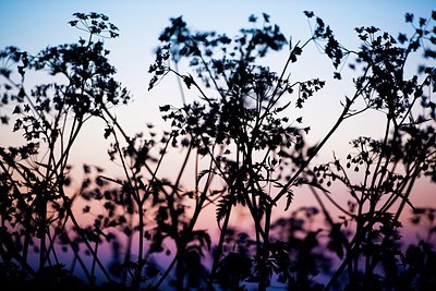 BUITEN BEELD Foto: 173042