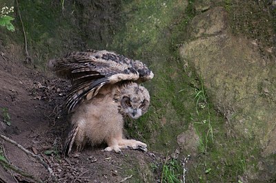 BUITEN BEELD Foto: 173105