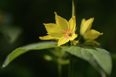 BUITEN BEELD Foto: 173117