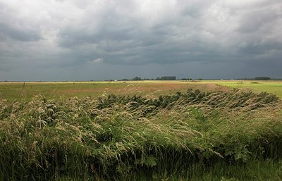 BUITEN BEELD Foto: 173139