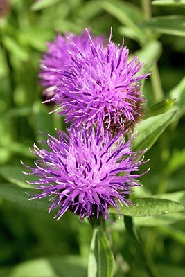 BUITEN BEELD Foto: 173206