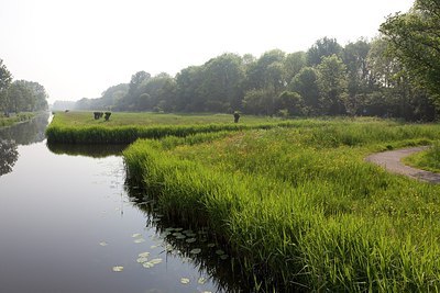 BUITEN BEELD Foto: 173210