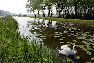 BUITEN BEELD Foto: 173221