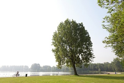 BUITEN BEELD Foto: 173222