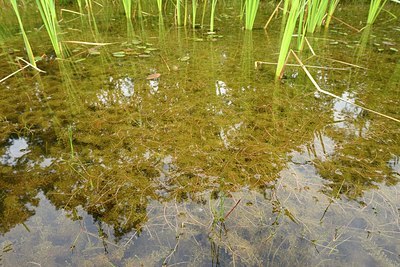 BUITEN BEELD Foto: 173265