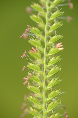 BUITEN BEELD Foto: 173268