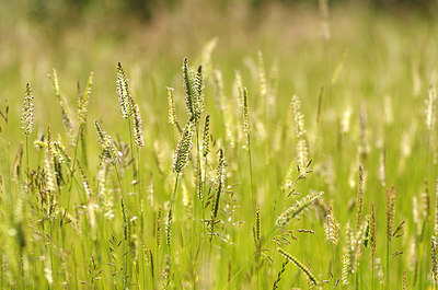 BUITEN BEELD Foto: 173327