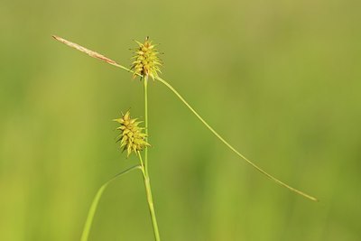 BUITEN BEELD Foto: 173360