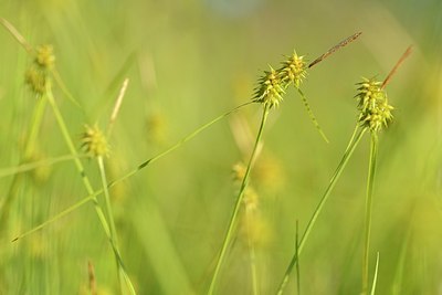 BUITEN BEELD Foto: 173361