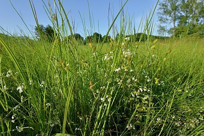 BUITEN BEELD Foto: 173364