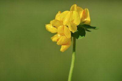 BUITEN BEELD Foto: 173367