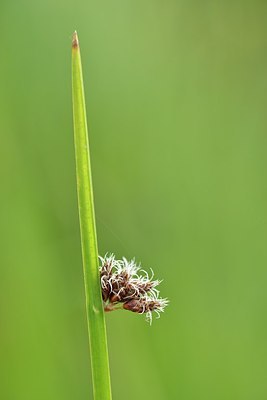 BUITEN BEELD Foto: 173371