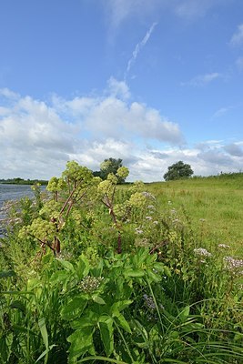 BUITEN BEELD Foto: 173374