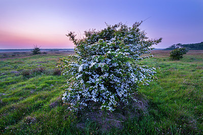 BUITEN BEELD Foto: 173416