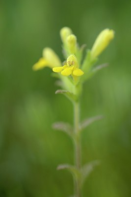 BUITEN BEELD Foto: 173455