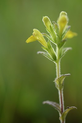 BUITEN BEELD Foto: 173457