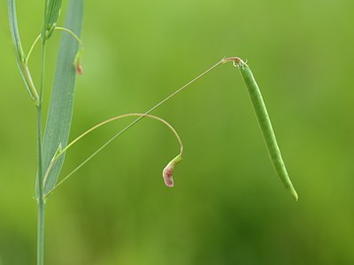 BUITEN BEELD Foto: 173466