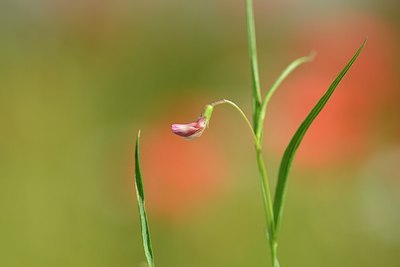 BUITEN BEELD Foto: 173469