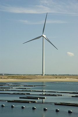 BUITEN BEELD Foto: 173485