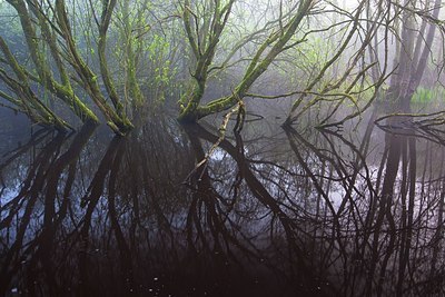 BUITEN BEELD Foto: 173536