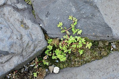 BUITEN BEELD Foto: 173554