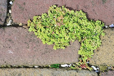 BUITEN BEELD Foto: 173555