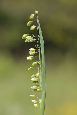 BUITEN BEELD Foto: 173575