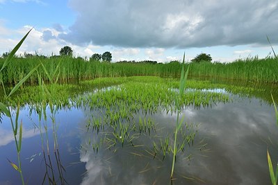 BUITEN BEELD Foto: 173624