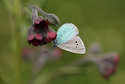 BUITEN BEELD Foto: 173630