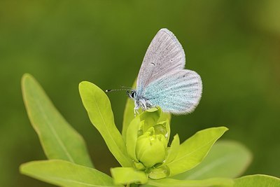 BUITEN BEELD Foto: 173631