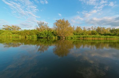 BUITEN BEELD Foto: 173662