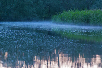 BUITEN BEELD Foto: 173664