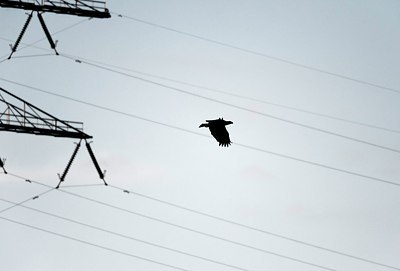 BUITEN BEELD Foto: 173677