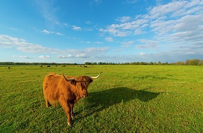 BUITEN BEELD Foto: 173686