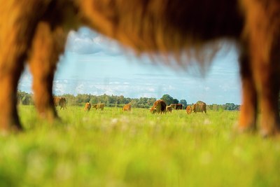 BUITEN BEELD Foto: 173690