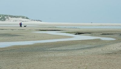 BUITEN BEELD Foto: 173715