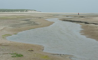 BUITEN BEELD Foto: 173718