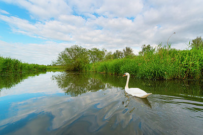 BUITEN BEELD Foto: 173723