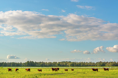 BUITEN BEELD Foto: 173734