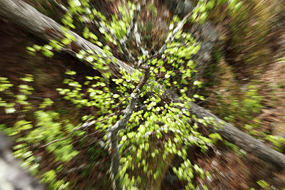 BUITEN BEELD Foto: 173744