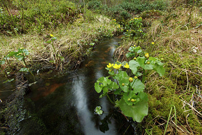 BUITEN BEELD Foto: 173750