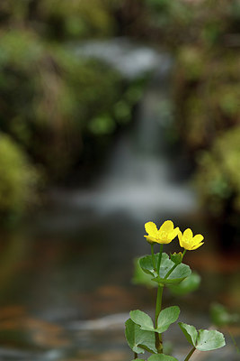 BUITEN BEELD Foto: 173753