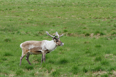 BUITEN BEELD Foto: 173767